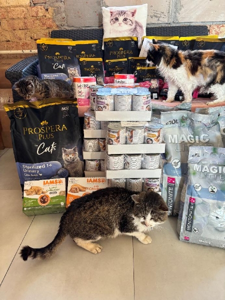 Kouzelná Elvíra z.s.